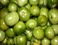 Green Tomatoes