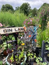 Gin Lane